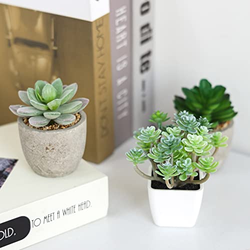 Cewor 10Pcs Artificial Succulent Plants Faux Succulents Unpotted Fake Succulent Plants Premium Crafting Diy Floral Decor For Home Garden Office Party #TOP4