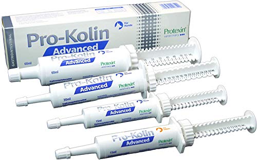 Dechra Protexin Pro-Kolin Advanced für Hunde | 30 ml | Ergänzungsfuttermittel für Hunde | Zur Unterstützung der Verdauung und des Immunsystems | Mit Prä/- und Probiotika