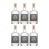 Weingut Manz Hiwwel Gin Deutschland inkl. FeinWert E-Book (6 x 0.1 l)