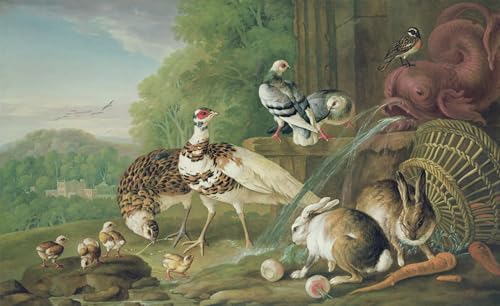 Tableau Birdcatchers Jan Van Der Straet impression sur toile 60x90cm pour décoration murale