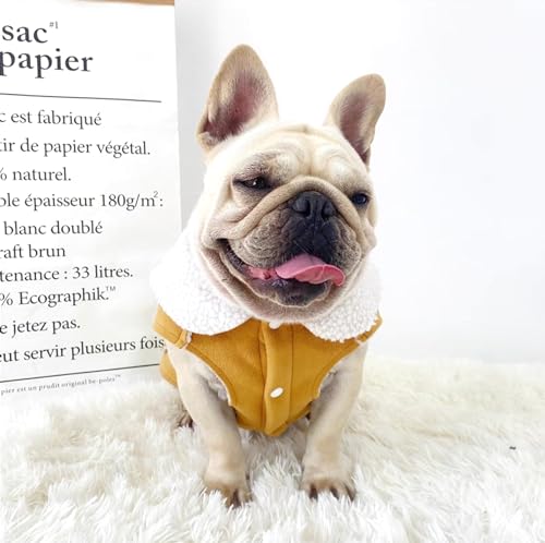 CHEERTAILS Casacos para cães pequenos, casacos para cães pequenos para o inverno para cães médios me