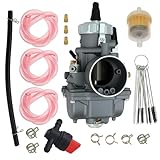 Carbpro 2 Stroke Engine Carburetor Replacement for Polaris Xplorer 250 2000 2001 2002 Trail Blazer 250 1990-2006 2 Stroke