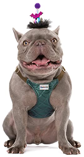 No Pull Dog Harness with Multifunction Dog Leash,Soft Adjustable No Choke Escape Proof Pet Harness Vest for Medium Dogs,Glossy Dark Green,M