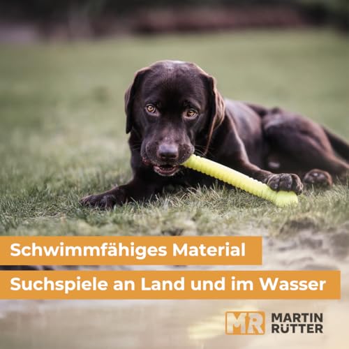 Martin Rütter FUNSTIX Stöckchenersatz für Hunde Größe: S, Farbe: Neongelb – Flexibler & sicherer Apportierstab aus TPE – Schwimmfähig, robust & lebensmittelecht