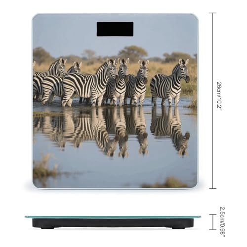 Báscula de Baño Digital con Pantalla LCD y Vidrio Templado miniatura 2