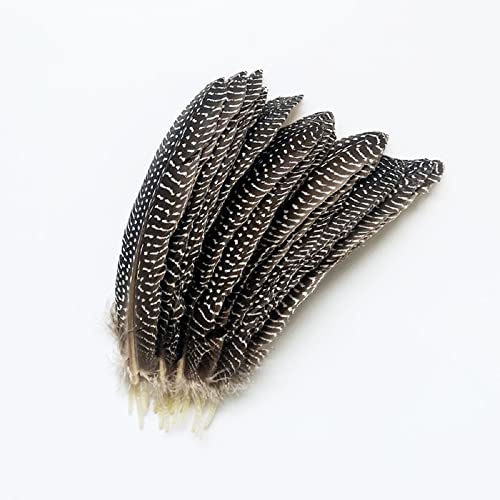 Natural Guinea Fowl Feather Spotted Pheasant Feathers For Craft Floral Arrangements Wedding Home Party Decorations (10 Pcs) #TOP2