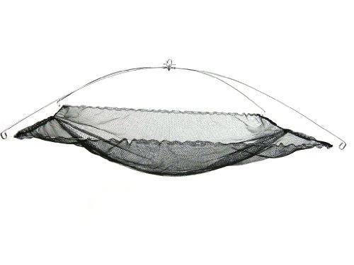 Ranger Umbrella Minnow Net with Poly Netting (42-Inch x 42-Inch)