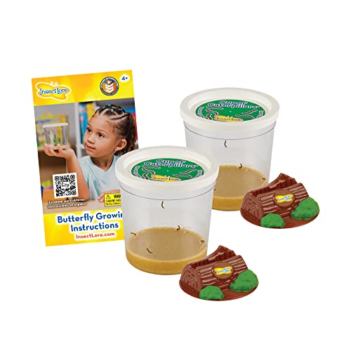 Insect Lore Two Cups of Caterpillars - Butterfly Garden Kit Refill – Raise and Release Painted...