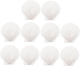 Levemolo 10 Pçs Acessórios Aquário DIY Adornos Artesanato Suíte Decorações Brancas Xiayi Talheres Conjunto Manual De Material Conchas Concha Natural Do Oceano Paisagismo Concha Decoração