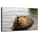 MSHDO BUSY AS A BEAVER Wall Art Canvas Prints Poster For Home Office Decorations With Framed 12'x8'
