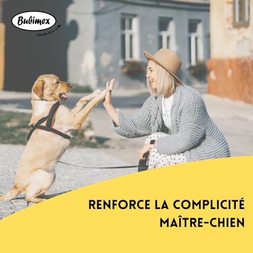 Bubimex - Smiley Cookies Leckerli für Hunde – Kekse Belohnung ideal zum Training – niedriger Fettgehalt – Snack Training – geeignet für alle Rassen und Größen – Eimer mit 1,3 kg