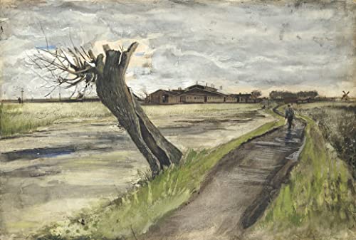 Lienzo de Van Gogh de alta calidad: réplica Sauce pollard 60x90cm