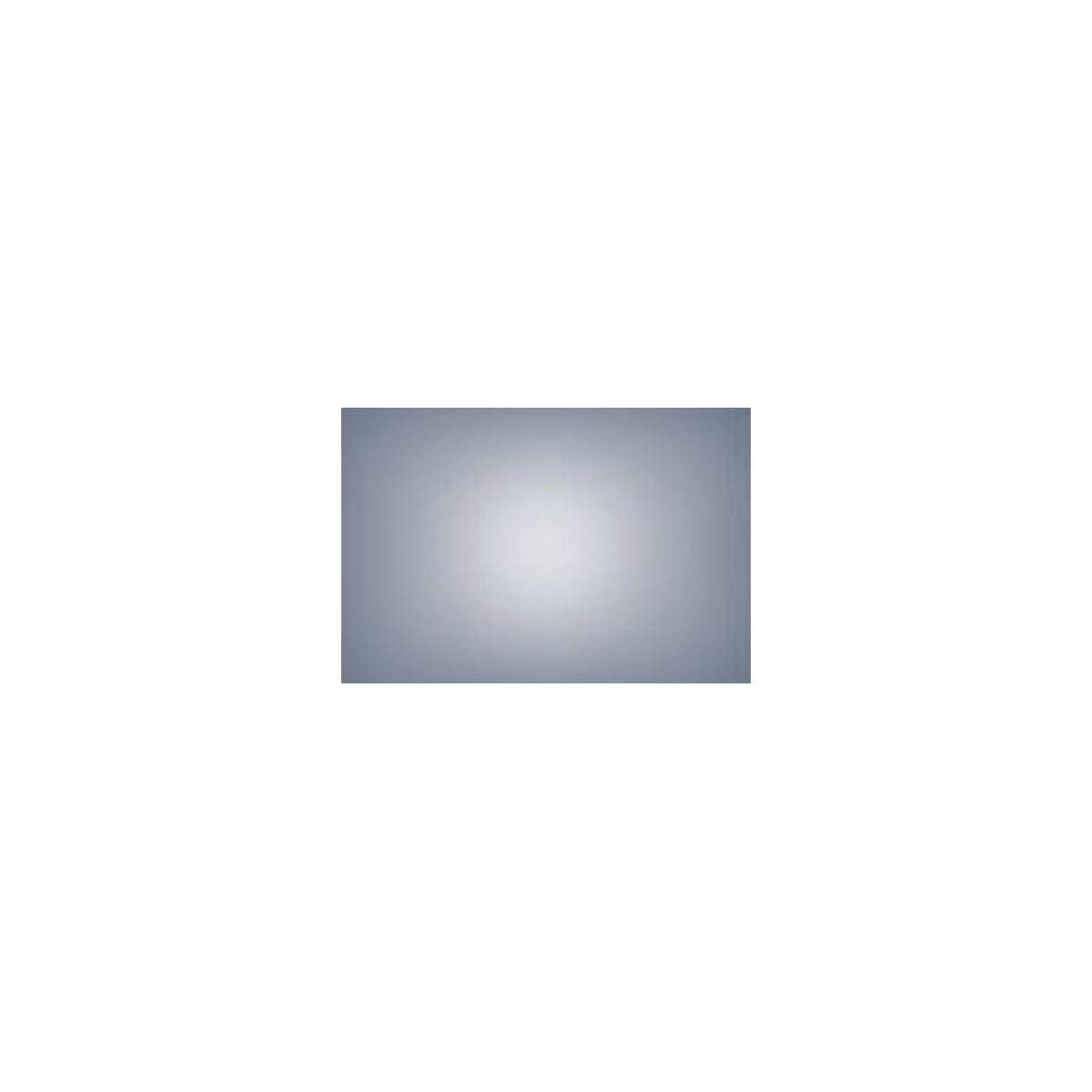 LEE Filters Heavy Frost 24x21 Gel Filter Sheet