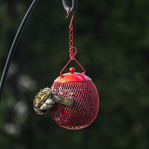 Backyard Expressions 3-Pack Metal Mesh Bird Feeders for Outdoors – Red, Blue & Yellow Squirrel-Resistant Hanging Feeders for Cardinals, Finches & Songbirds – Durable All-Weather Design - Thumbnail 6