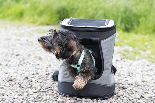 Trixie 28944 Timon - Zaino Per Cani Fino A 12 Kg, Poliestere, Nero/Grigio, 34 × 44 × 30Cm - 8