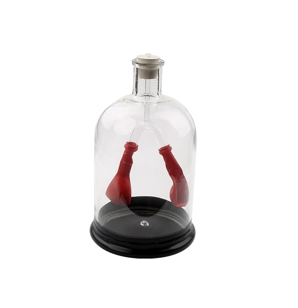 Lung Function Demonstration Model,Lung Breathing Model,Respiratory System Model for Science Classroom Study,Teaching Biologic Model Show Lung Diaphragm Air Flow Muscle Function,11 Inch Rubber & Glass