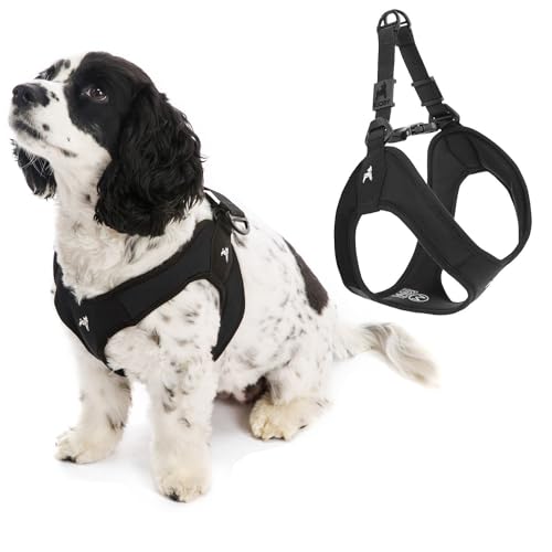Gooby Escape Free Easy Fit Harness - Black Medium - No Pull Step-in Patented Small Dog Harness with Quick Release Buckle - Perfect On the Go No Pull Harness for Small Dogs or Medium Dog Harness