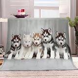 Manta Mascotas Husky Cachorro Ropa De Cama Versátil para Sofá Y Manta De Aire 220 X 240 Cm Estampado De para Niños Adultos Manta De Microfibra Gris Blanco Suave Cálida Manta De Sofá