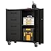 WZONICE98 Metal Storage Cabinet with Wheels 34.65 in Garage Rolling Cabinet Heavy Duty Utility Storage for Garage Office and Home Organizer Solutions Tool Storage Cabinet Black