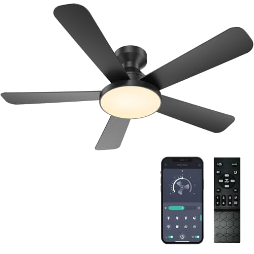 Kunywooe Ceiling Fans with Lights