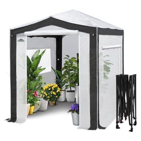 EAGLE PEAK 8x6 Portable Walk in Greenhouse with Polyester Reinforced Corners, Instant Pop Up Indoor Outdoor Gardening Green House, Roll Up Zipper Entry Doors and Mesh Windows, Gray/White Cover