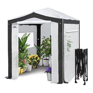 EAGLE PEAK 8×6 Walk in Pop Up Greenhouse, Gray/White