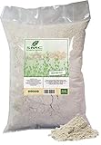 NatureJam White Rye Flour 10 Pounds Bulk Bag