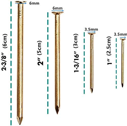 TAIANJI 250 Pcs Brass Nails 4 Sizes Wood Nails, Assorted Nails Set Flat Head Nails Wall Tacks Panel Pins Gold Nails for Hanging Picture Frame Mirror or Furniture Woodwork DIY Projects & More