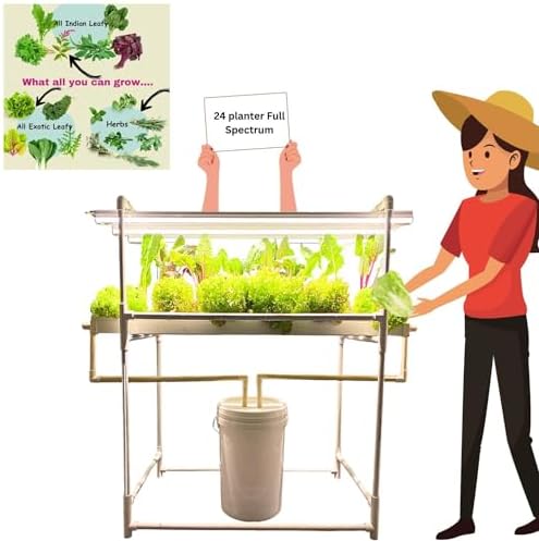 Best Small Hydroponic System for Fresh Indoor Harvests