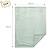 david's kids Micro Fleece Minky Baby Blanket for Girls with Double Layer and Soothing Raised Dots, Breathable and Soft Lightweight Receiving Blanket for Newborns 30x40 Inches, Sage Green