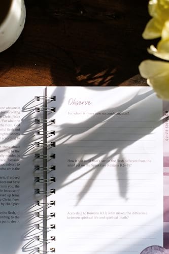 Romans: An All-In-One Study on Salvation and New Life (The Bible Study Collective) - image 7
