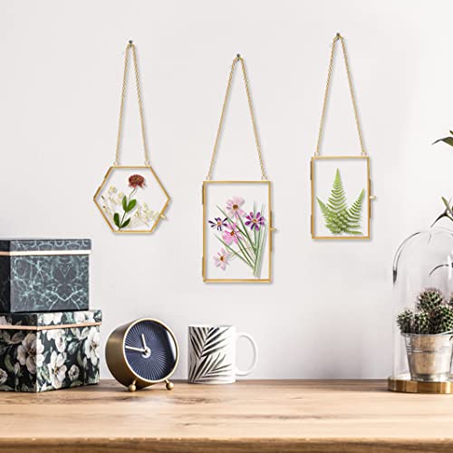 Double Glass Frame for Pressed Flowers - w/Real Dried Flowers and Tweezer for Handicrafts, Photo, or Other Small Flat Items - Thumbnail 2