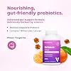 VitaMedica Balance Bites - Probiotic Gummies for Digestive Support, Immune & Gut Health - 1 Billion CFU No Refrigeration Required - 30 Gummies