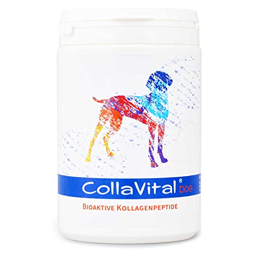 CollaVital® Dog Premium Kollagen Pulver [230 g] - Gelenkpulver aus bioaktiven Kollagen Hydrolysat - - Geschmacksneutral - 230g bioaktive Kollagenpeptide - Protein Booster - Made in Germany DE