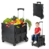 🛒 Caddy de courses à roulettes 45 L – Coque rigide en PP (38 x 34 x 36 cm) : ce shopping trolley offre un grand espace pour les courses, le matériel de camping ou les étals de marché. Livré prêt à l’emploi, aucun montage requis.