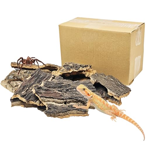 BNOSDM Reptile Cork Bark Substrate 16oz Tortoise Bedding for Habitat Natural Flat Cork Wood Bulk Terrarium Reusable Champagne Bark for Lizard, Crested Gecko, Spider, Chameleon, Ball Python, Tree Frog