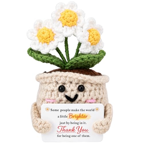 Image of Thank You Gifts for Women, Crochet Daisy Appreciation Gift, Handmade Flower Desk Decor, Teacher Coworker Nurse Therapist Gift, Encouragement Keepsake for Friend, Office Decor