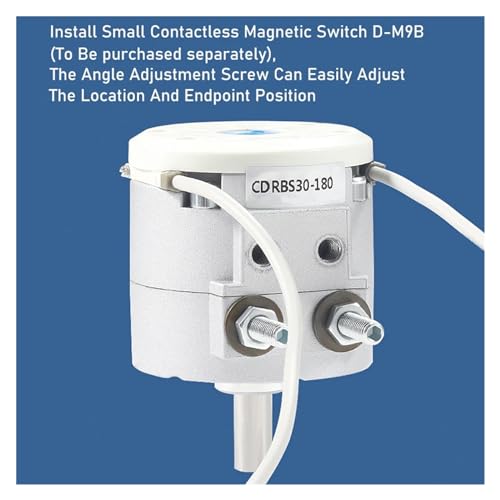 Vérin pivotant robuste CDRBS40 pour automatisme durable - 4