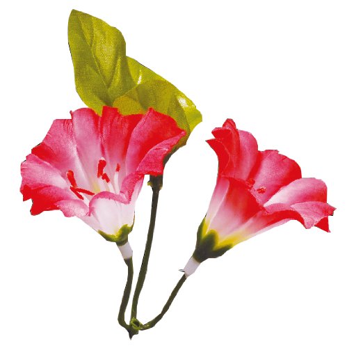 VNt[  100 sk-009 680809