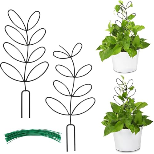 Helilyco Hoya Monstera Pothos Lot de 2 plantes grimpantes en métal en forme de feuille 14 x 31 cm Noir