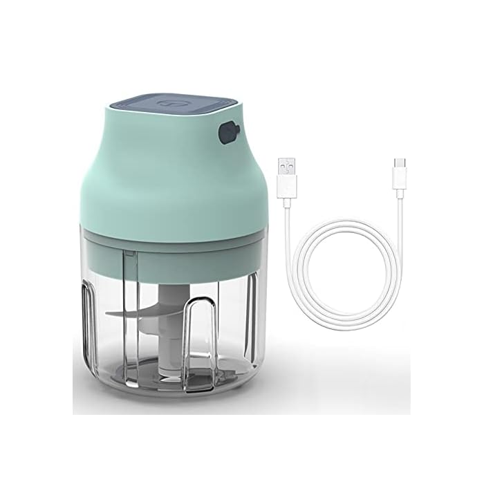 Buy ILYTEX Automatic Garlic Chopper, Electronic Garlic Chopper (250ml