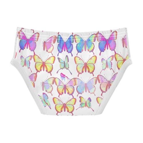 Color Butterfly Toddler Boy's Underwear 2T 202c15562
