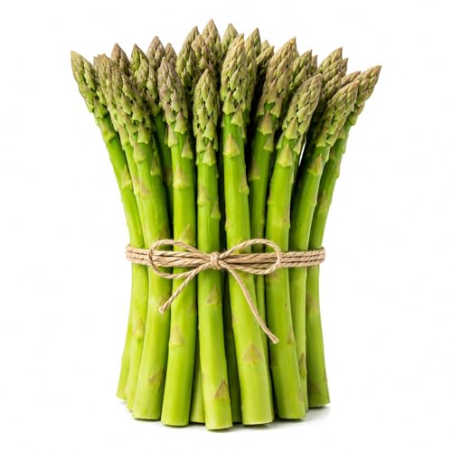 Mary Washington Asparagus -6 Live Crowns - 2 Year Bare Root Plants Live | Heirloom Perennial Vegetable | Cold Hardy Garden Starter Roots for High Yield Green Asparagus Spears | 6 Pack