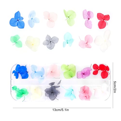 Flores secas para arte de uñas, set de 4 cajas miniatura 5