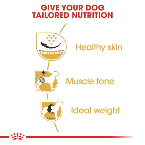 Royal Canin Pug | 1,5 kg | Trockenfutter für ausgewachsene Möpse | Zur Unterstützung des Fells und der Verdauung | Für Hunde ab dem 10. Lebensmonat