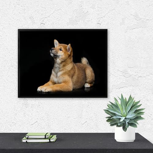 MIDUNU Kits de pintura de diamante para adultos, Shiba Inu 5D, kits de arte de diamantes para perro, taladro completo, manualidades de arte de diamantes para decoración del hogar (40 x 50 cm)
