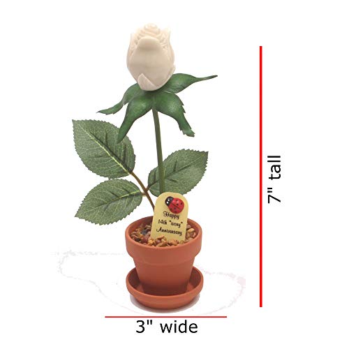 Justpaperroses 14Th Year Wedding Anniversary 7 Inch Potted Artificial Ivory Desk Rose Flower #TOP2