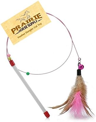 Long Lasting Premium Replacement Refill Feathers (Bulk Packs) for Da Bird GoCat Toy Teaser Interactive Play for Cats and Kittens All Natural Genuine Guinea Feathers (Cat Toy Dangler)