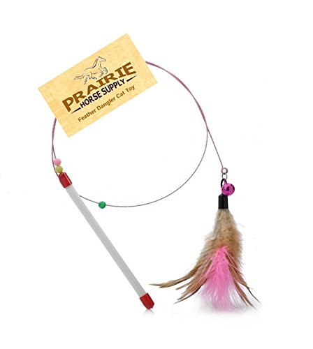 Long Lasting Premium Replacement Refill Feathers (Bulk Packs) for Da Bird GoCat Toy Teaser Interactive Play for Cats and Kittens All Natural Genuine Guinea Feathers (Cat Toy Dangler)