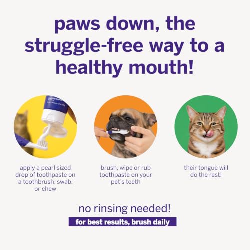 Image of Petsmile VOHC Accepted Pet Toothpaste, London Broil 2.5 Oz, Cats + Dogs | VOHC Accepted, Calprox Powered, Fights Plaque + Tartar, No-Brush Required, Human-Grade, 4-Month Supply, Clinically Proven